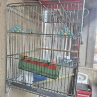 قفس قدیمی|لوازم جانبی حیوانات|سنندج, |دیوار