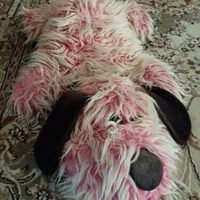 عروسک ببر بزرگ|اسباب‌‌بازی|شیراز, شهرک فرهنگیان|دیوار