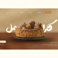 طراحی سایت حرفه‌ای + تضمین فروش و تحویل فوری
