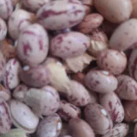 برنج و حبوبات فریدونی قیمت مناسب مناسب شادونه۳۴۰