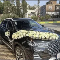 اجاره ماشین عروس تیگو 8 پرو