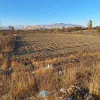 زمین کشاورزی جاده چناقلو|فروش زمین و ملک کلنگی|نوشین شهر, |دیوار