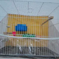 قفس عروس وقناری|لوازم جانبی حیوانات|مشهد, حضرت حجت|دیوار