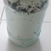 کلر استخر