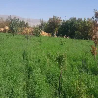 استخدام تمام وقت