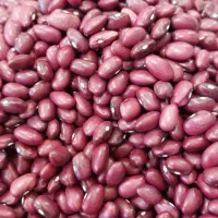 پخش عمده مواد غذایی