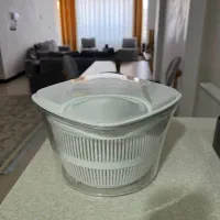 سبزی خشک کن لیمون