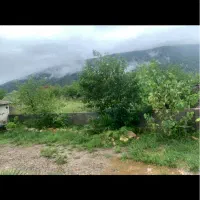 رهن ،اجاره زمین ۷۰۰تا۱۰۰۰ متر هچیرود|اجارهٔ دفتر صنعتی، کشاورزی، تجاری|چالوس, |دیوار