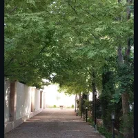 اجاره روزانه ویلا باغ