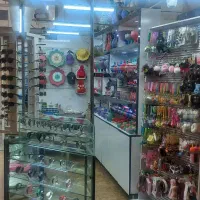 جذب نیروی خانم جهت کار در غرفه بدلیجات