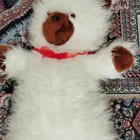 لباس ورزشی|کفش و لباس بچه|دزفول, |دیوار