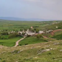کارگر دامداری