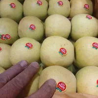 استخدام نیروی آقا