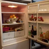 لوازم خانگی|یخچال و فریزر|لشت نشا, |دیوار