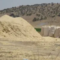 کاه و یونجه