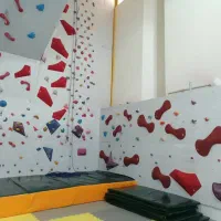 استخدام نیروی کار در ورزشگاه