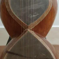 تار ۳/۴ مهر گلزار|سازهای سنتی|مبارکه, |دیوار