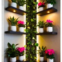 متقاضی اجاره