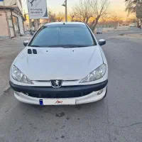 ۲۰۶ در حد و تمیز