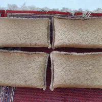 بالشت تکی پشتی