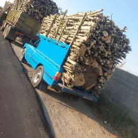 خریدار انواع چوب و درخت با با مجوزوصدوربارنامه