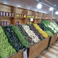 فروش دکور میوه فروشی
