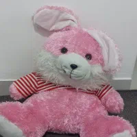 عروسک|اسباببازی|مرودشت, فاز دوم شهرک فرهنگیان|دیوار