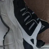 کفش اسپرت لژ دار|کیف، کفش، کمربند|شیراز, شهرک مهرگان|دیوار