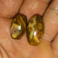 مهره سلطانی جفت|جواهرات|اهواز, منبع اب|دیوار