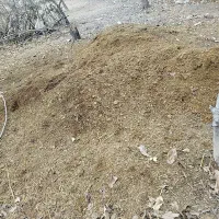 کود حیوانی|گل و گیاه طبیعی|الشتر, |دیوار