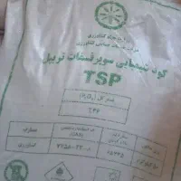 ۲عددکود ریشه ۱۷۵۰|حراج|اسفراین, |دیوار