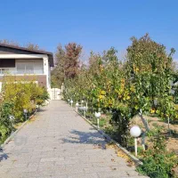 جویای سرایداری