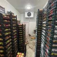 سردخانه صنعتی و نیمه صنعتی|ماشینآلات صنعتی|مشهد, امیر|دیوار