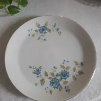 ظروف پذیرایی