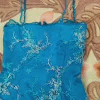 لباس مجلسی|لباس|شیراز, دست خضر|دیوار