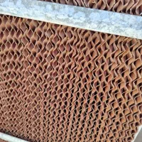 کولر آبی انرژی۷۵۰۰سلولزی بغل زن بسیارتمیز ومرتب|کولر آبی|شیراز, درکی|دیوار