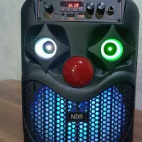 اسپیـکرشـارژی|سیستم صوتی خانگی|کنگاور, |دیوار