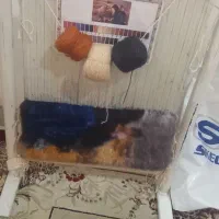 قیمت 1 میلیون