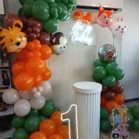 بادکنک آرایی و انواع تم تولد|خدمات پذیرایی، مراسم|تهران, شهرک خرازی|دیوار