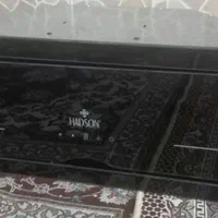 هود هادسون