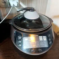 پلوپز ۳۰ کاره گاسونیک