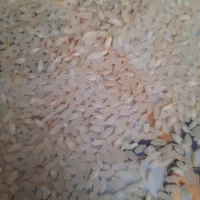 برنج بکیان کامفیروز