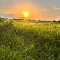فروش زمین زراعی خاص نزدیک دریا