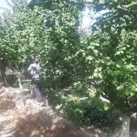 فروش ۸۰۰ متری در جوادیه تهرانپارس|فروش دفتر صنعتی، کشاورزی، تجاری|تهران, جوادیه تهرانپارس|دیوار