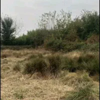 فروش زمین مسکونی