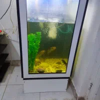 اکواریوم شیک زیر قیمت