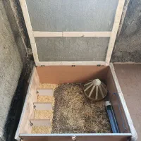 قفس|لوازم جانبی حیوانات|مشهد, چاهشک|دیوار