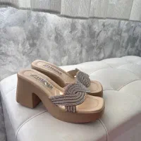 کفش مجلسی