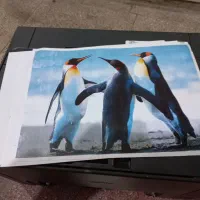 پرینتر لیزری رنگی کاننcanon7018c|پرینتر، اسکنر، کپی، فکس|تهران, شمس‌آباد|دیوار