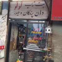 پرنده  سگ، گربه، خرگوش